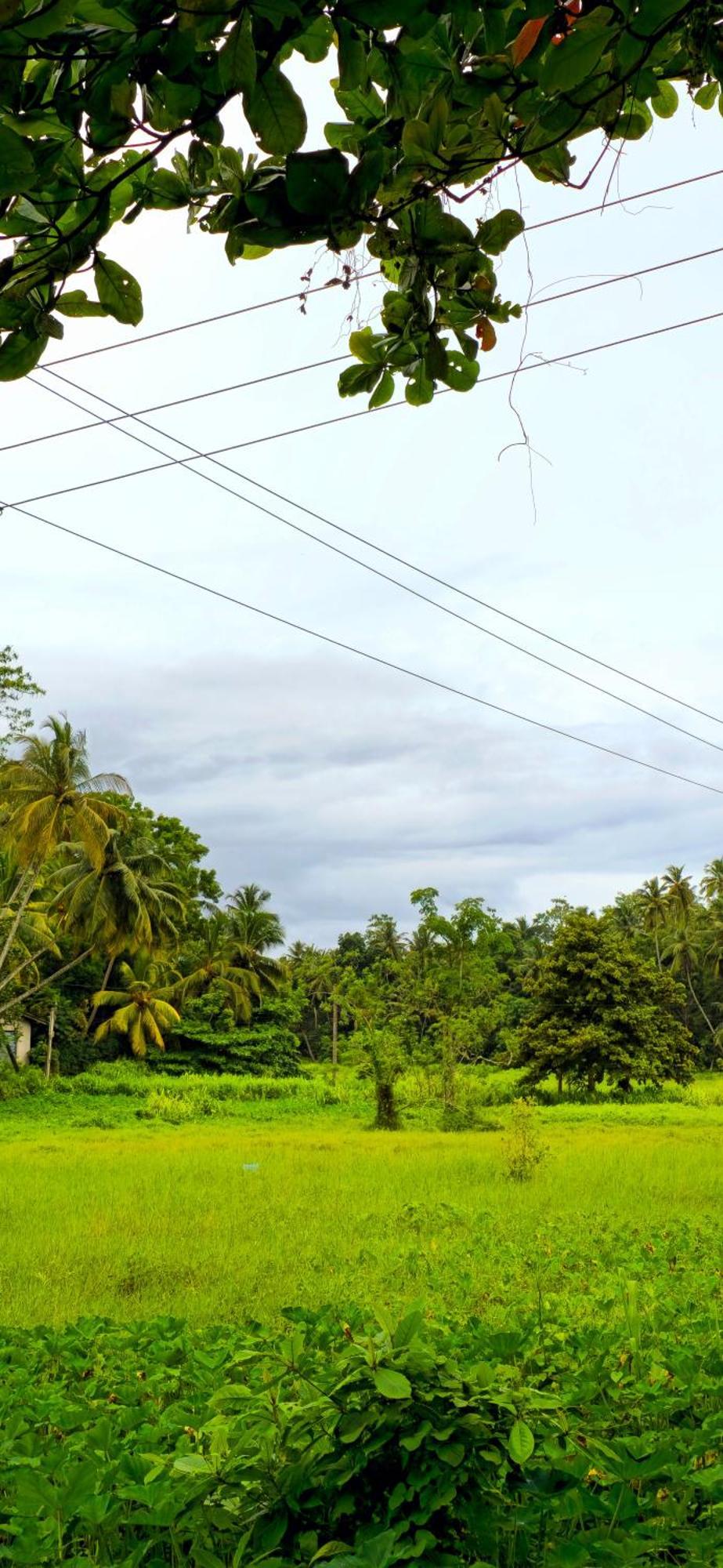 Avera Hills * Unawatuna